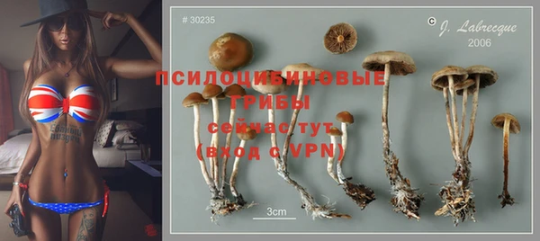 стаф Алексеевка
