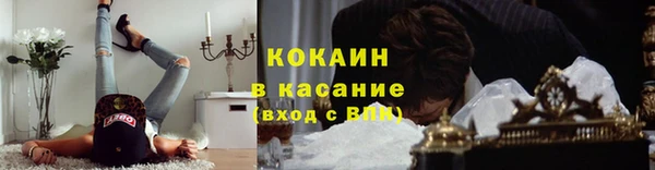 стаф Алексеевка