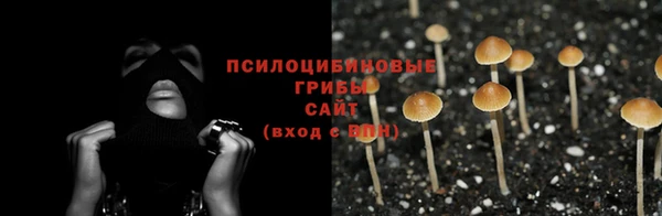гидра Алексин