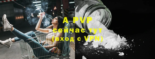 гидра Алексин