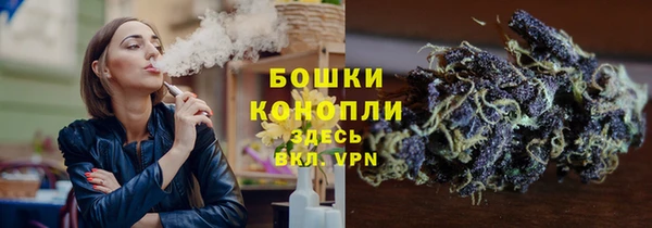 spice Алзамай